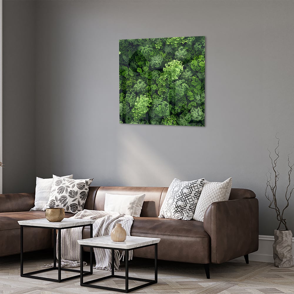 Luchtfoto van een weelderig groen bos op een muur in een moderne kamer.