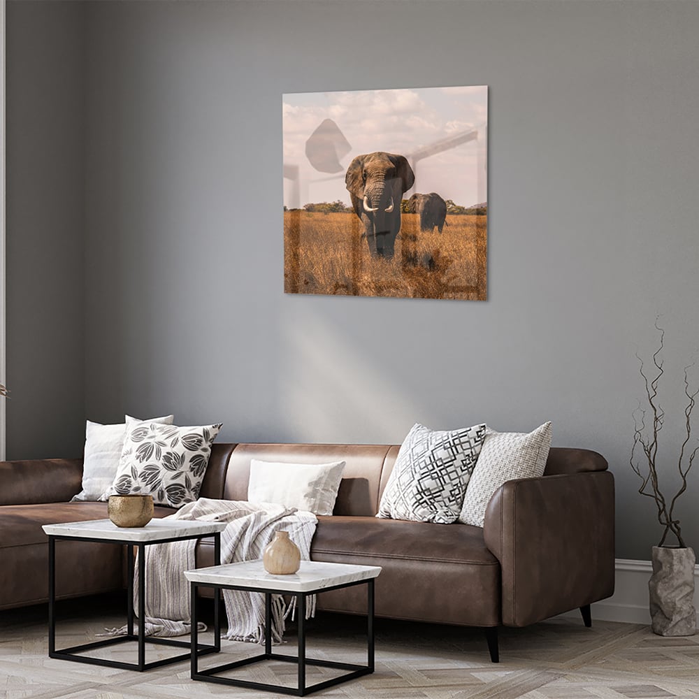 Glazen schilderij van twee olifanten in een gouden graslandschap