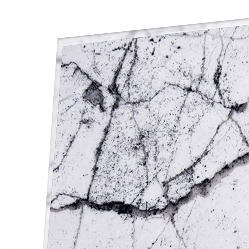 Abstract glazen schilderij met takkenstructuur in zwart-wit