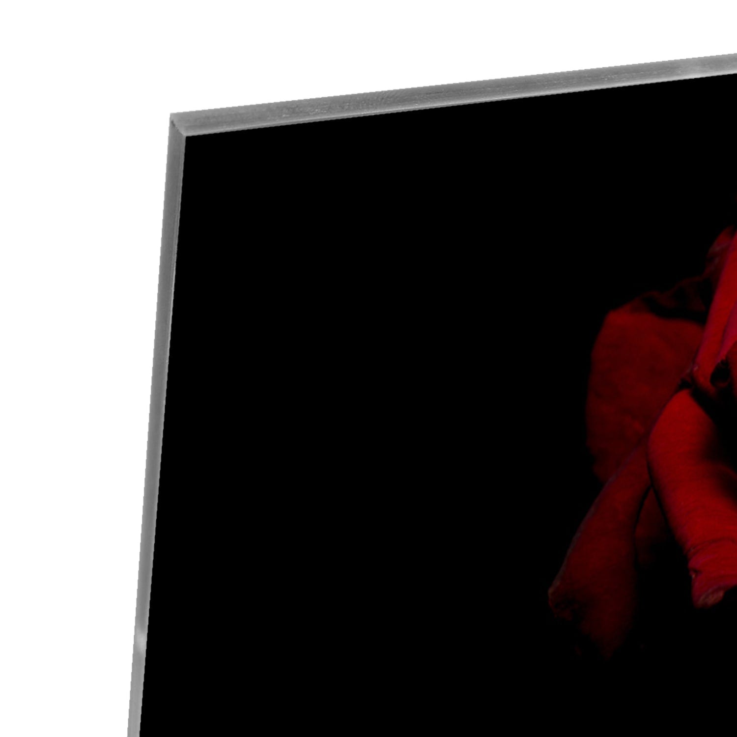 Glazen schilderij met rode roos op een zwarte achtergrond, elegant en modern.