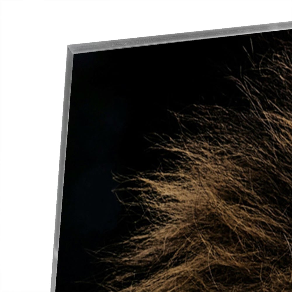 Glazen schilderij van een leeuw met een krachtige uitstraling