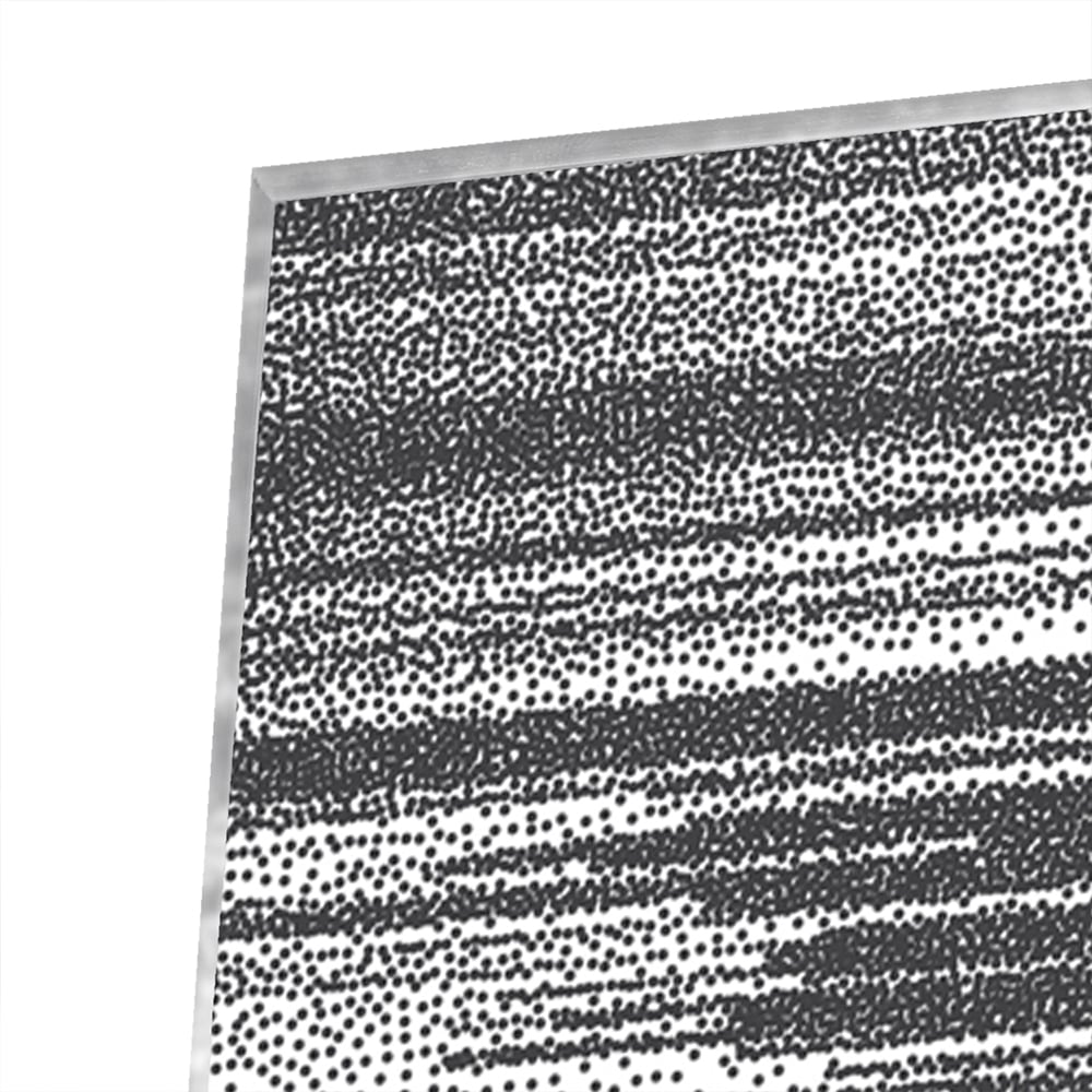 Abstract glazen schilderij in zwart-wit aan de muur met planten