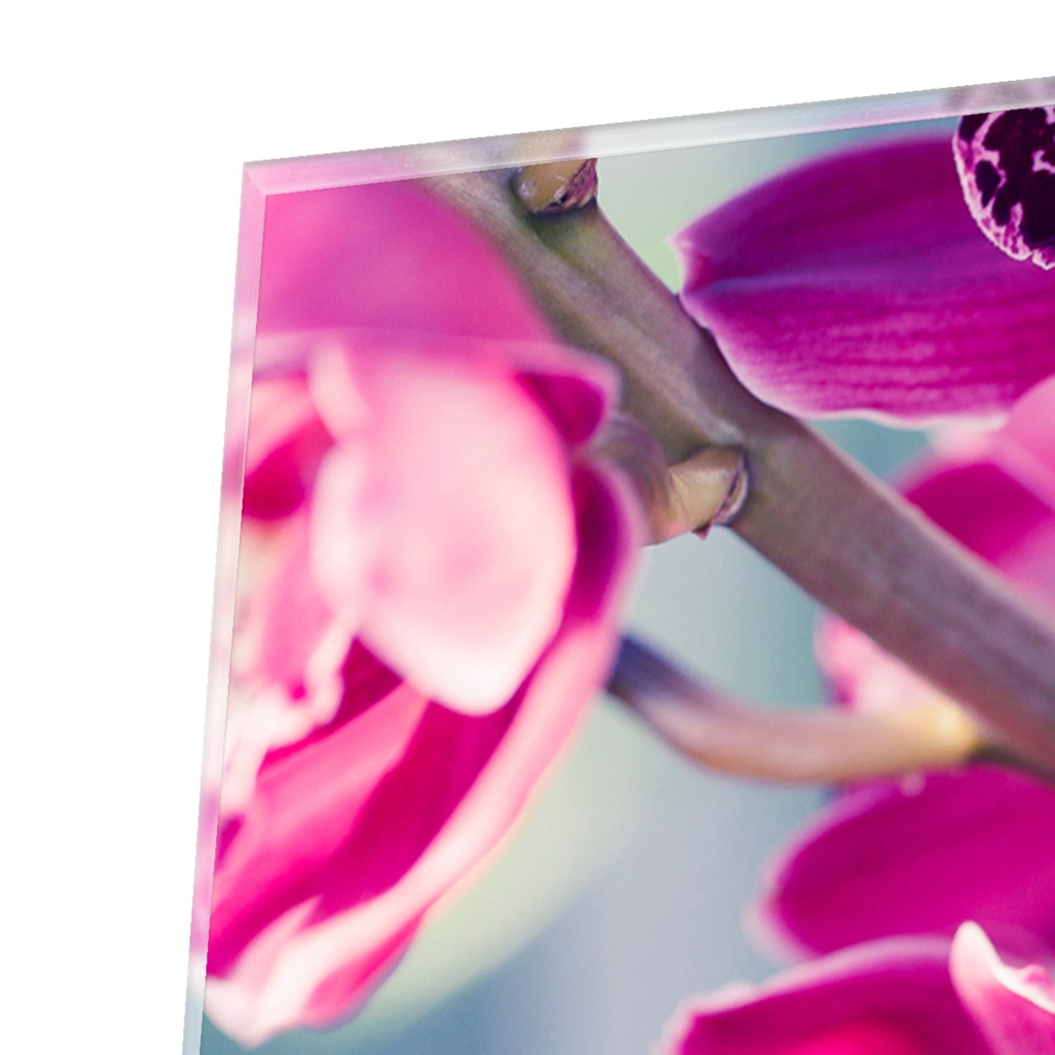 Glazen schilderij van paarse orchideen aan de muur in sfeervolle woonkamer.
