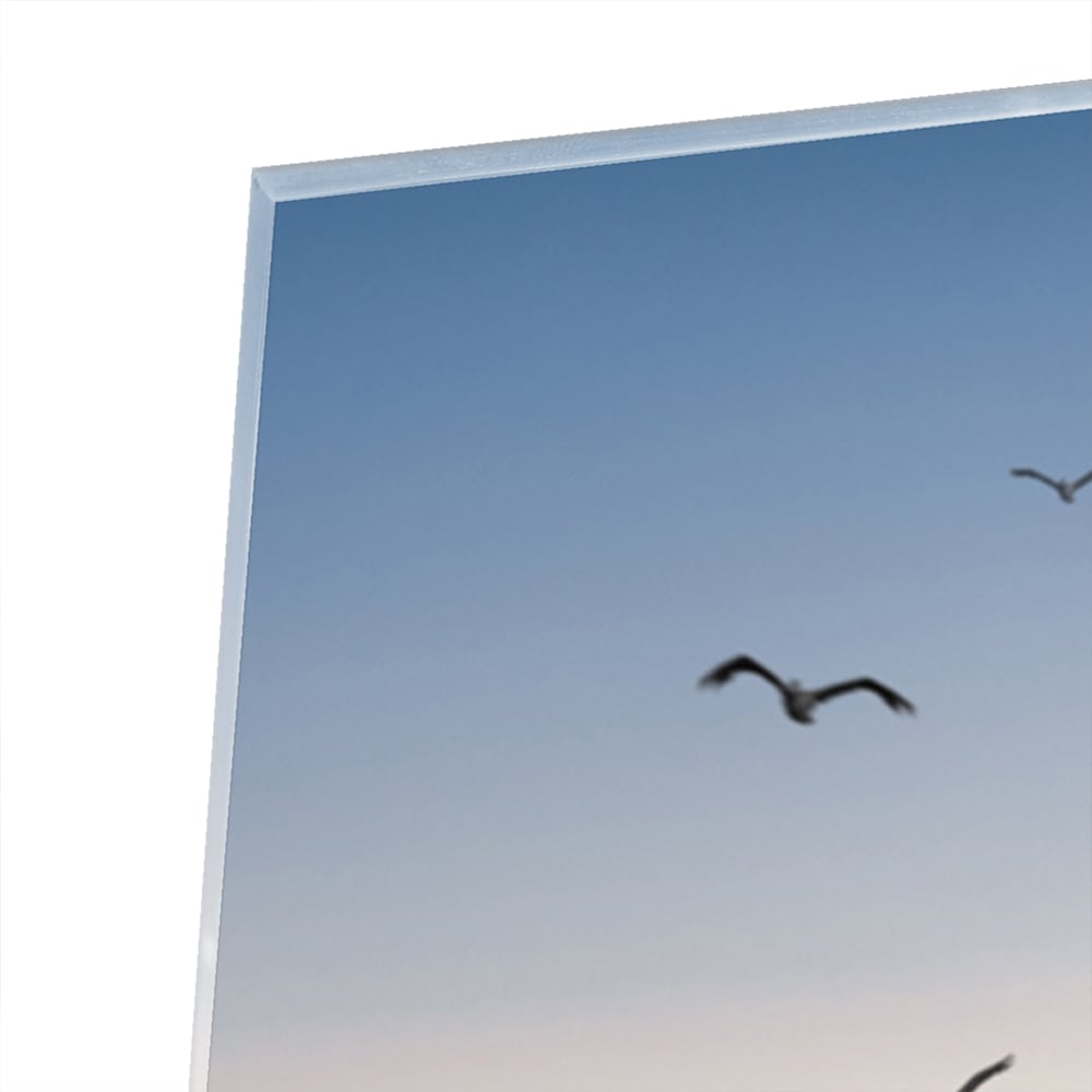 Glazen schilderij van een serene zonsondergang boven de zee met gras en vogels