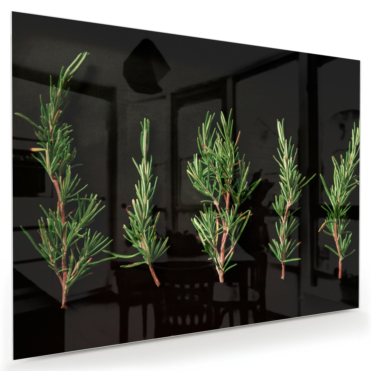 Glazen schilderij met illustraties van groene takken aan een wand.