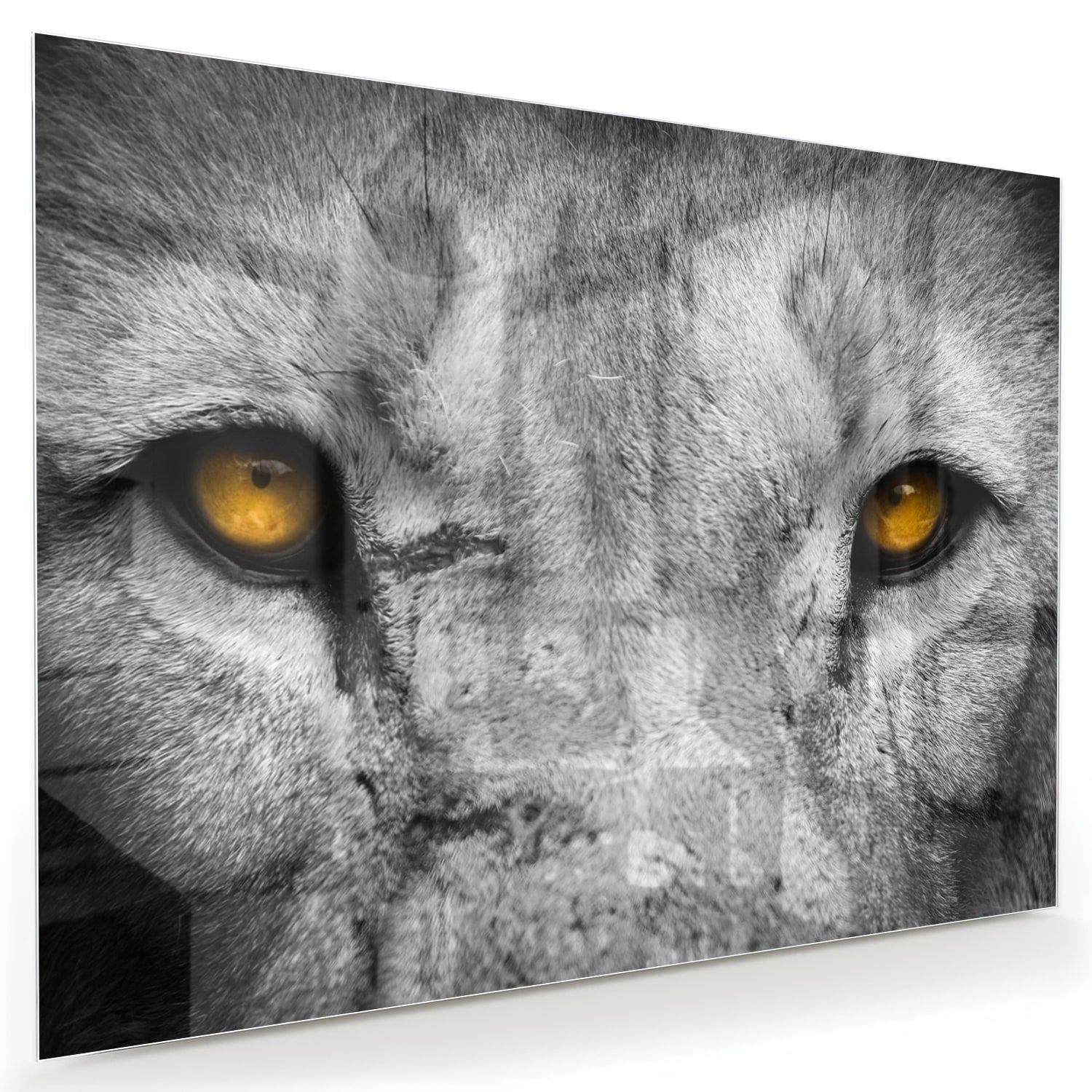 Glazen schilderij van een leeuw met gele ogen, prachtig voor aan de muur.