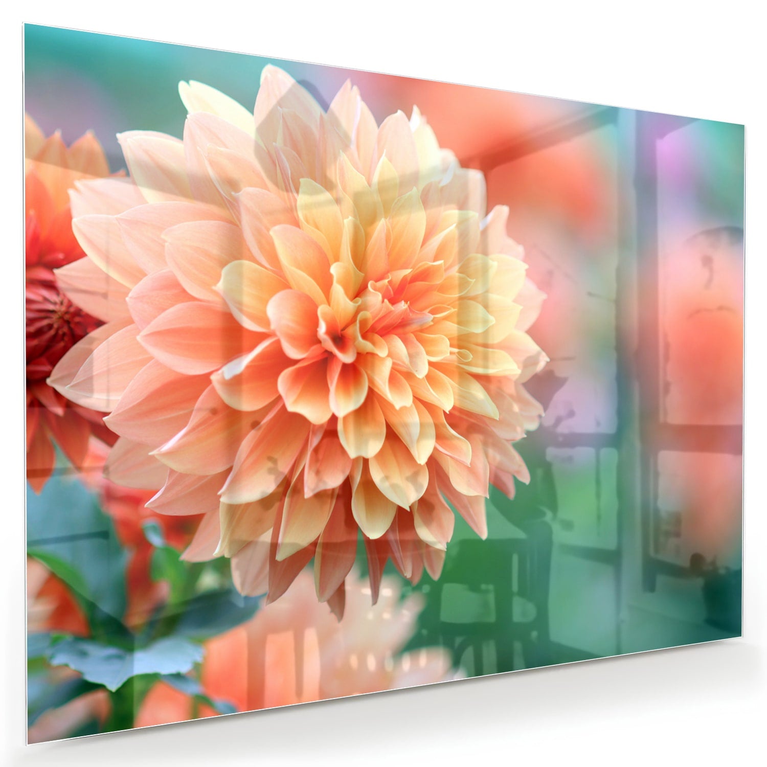 Glazen schilderij met een pastelroze dahlia in een modern interieur