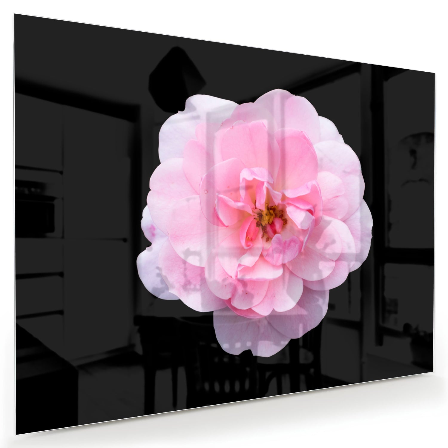 Glazen schilderij van een roze bloem op zwart glas, geschikt voor moderne interieurs.