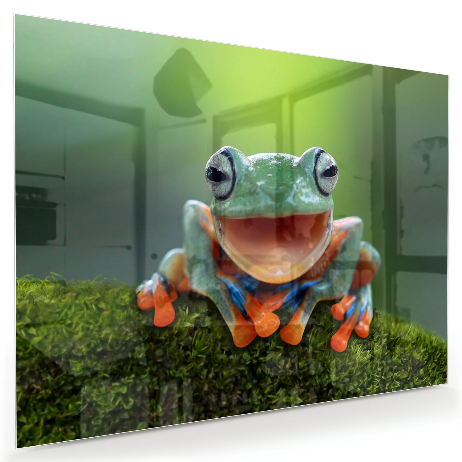 Glazen schilderij van een vrolijke boomkikker op een groene achtergrond
