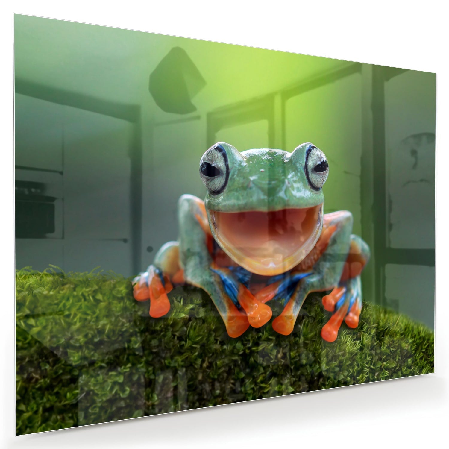 Glazen schilderij van een vrolijke boomkikker op een groene achtergrond