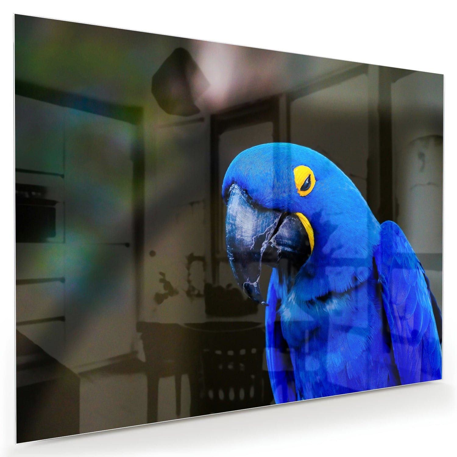 Glazen schilderij van een blauwe ara, ideaal voor wanddecoratie.