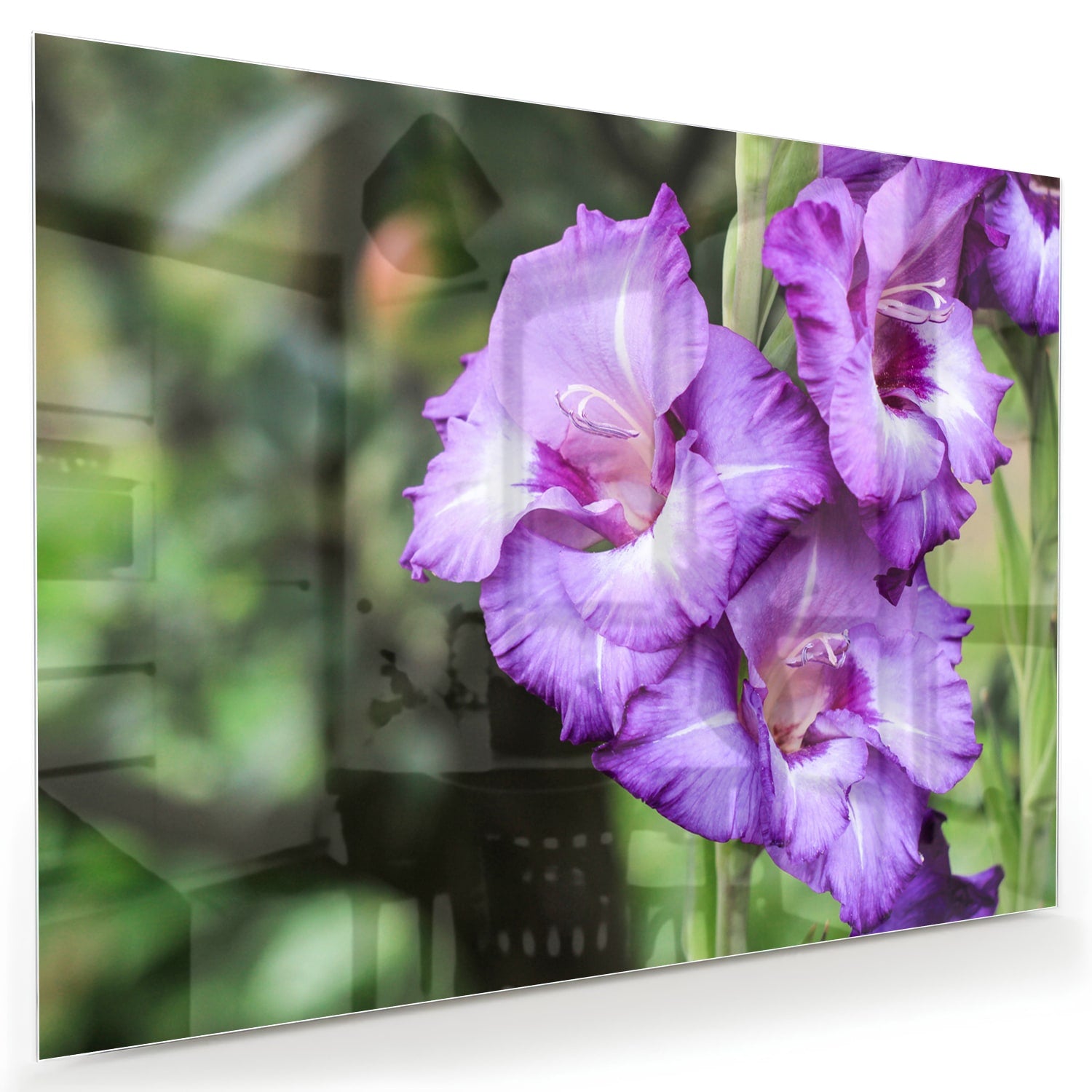 Glazen schilderij van paarse gladiolen aan de muur in een moderne woonkamer.