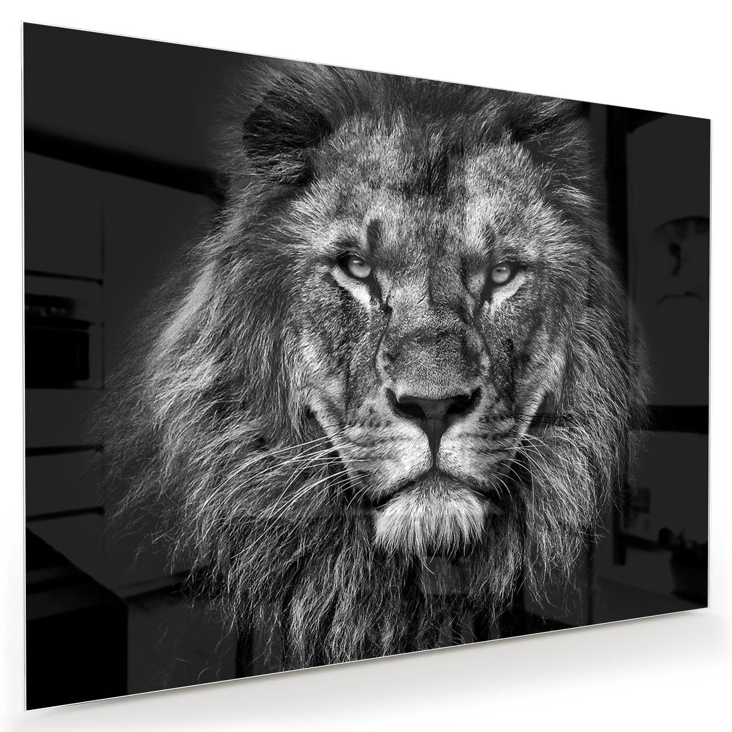 Glazen schilderij van een leeuw in zwart-wit, perfect voor wanddecoratie.