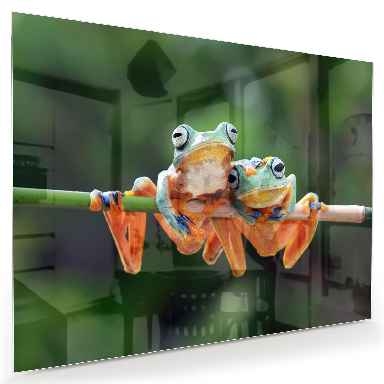 Glazen schilderij van een vrolijke kikker die op een tak zit.