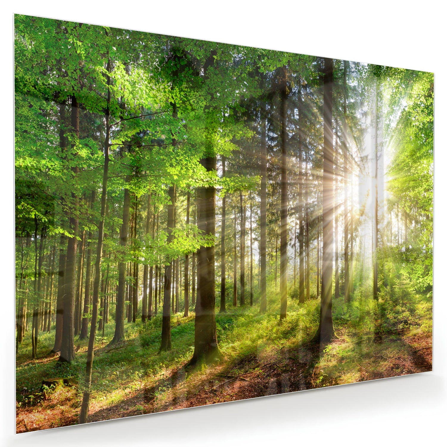 Glazen schilderij van een bos met zonnestralen op een muur.