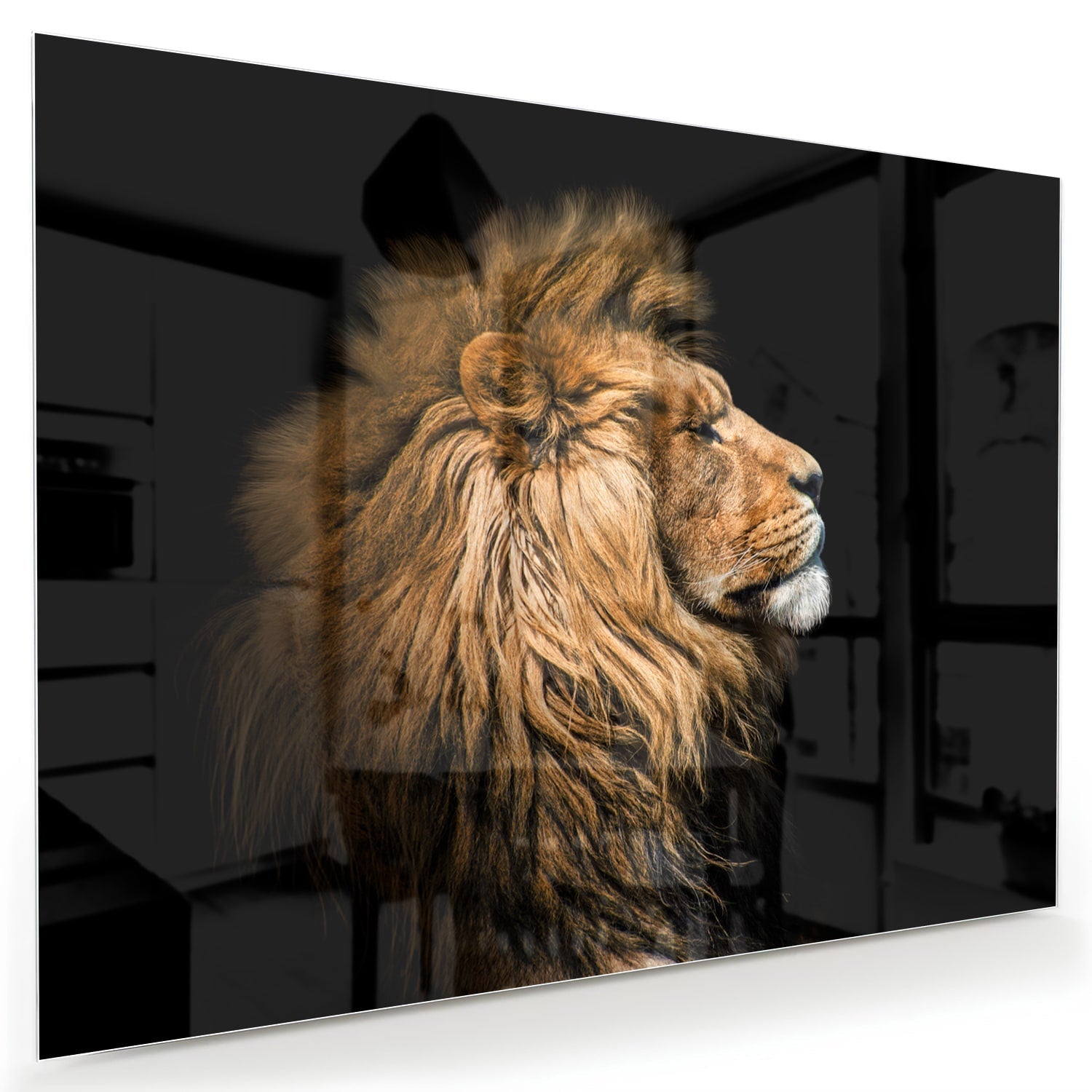 Glazen schilderij van een leeuw met rijke, gouden manen tegen een zwarte achtergrond.