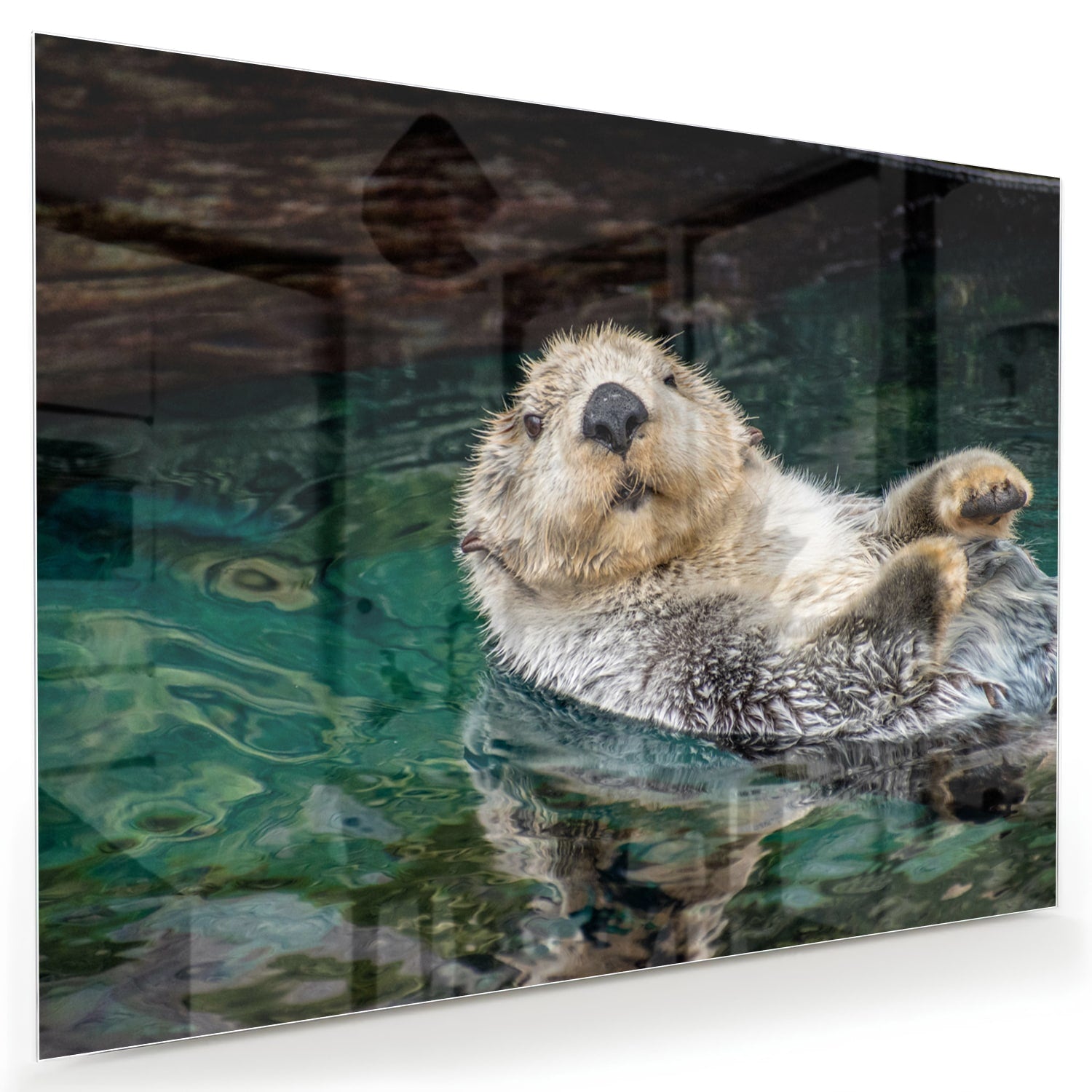 Glazen schilderij van een zeeotter die in water drijft.