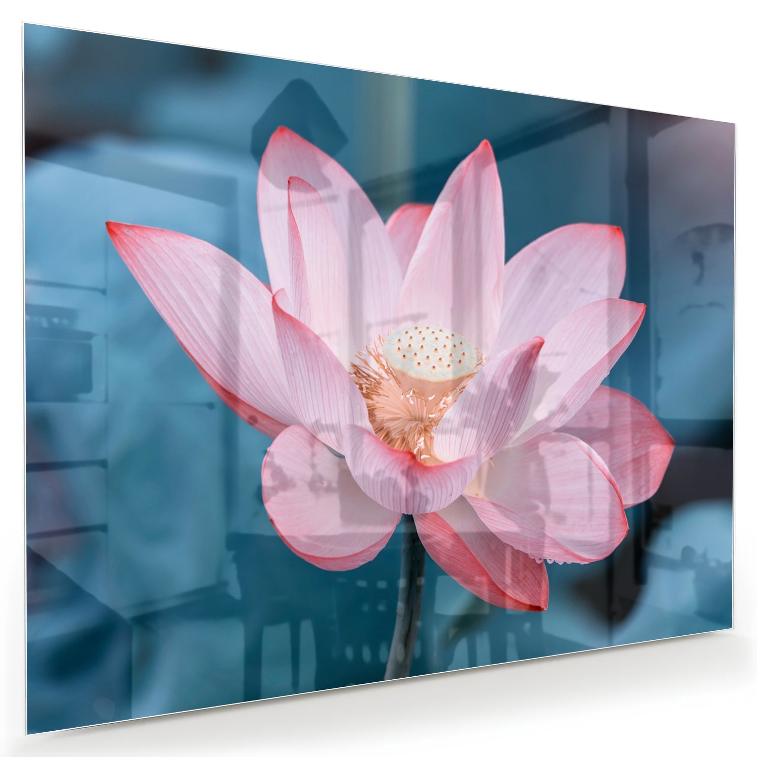 Glazen schilderij van een roze lotus boven een houten meubelstuk in een gezellige woonkamer.