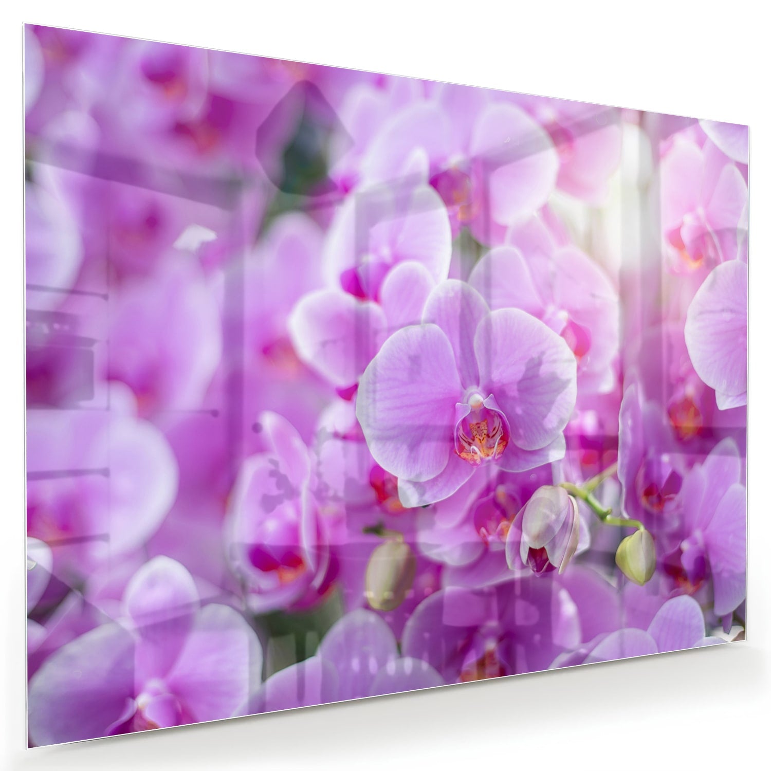 Glazen schilderij met een close-up van paarse orchideen in een mooi interieur