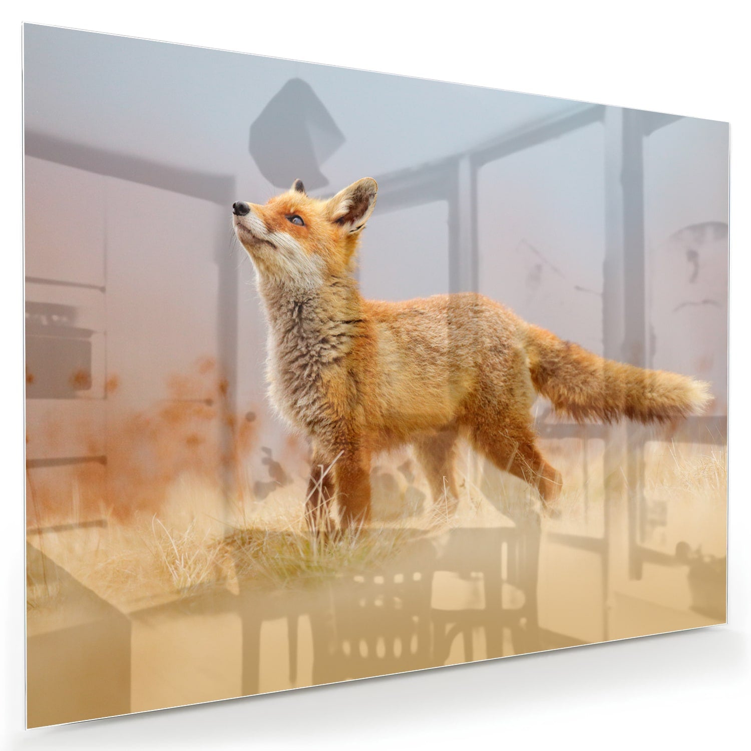 Glazen schilderij van een vos die in de natuur staat, perfect voor moderne interieurs.