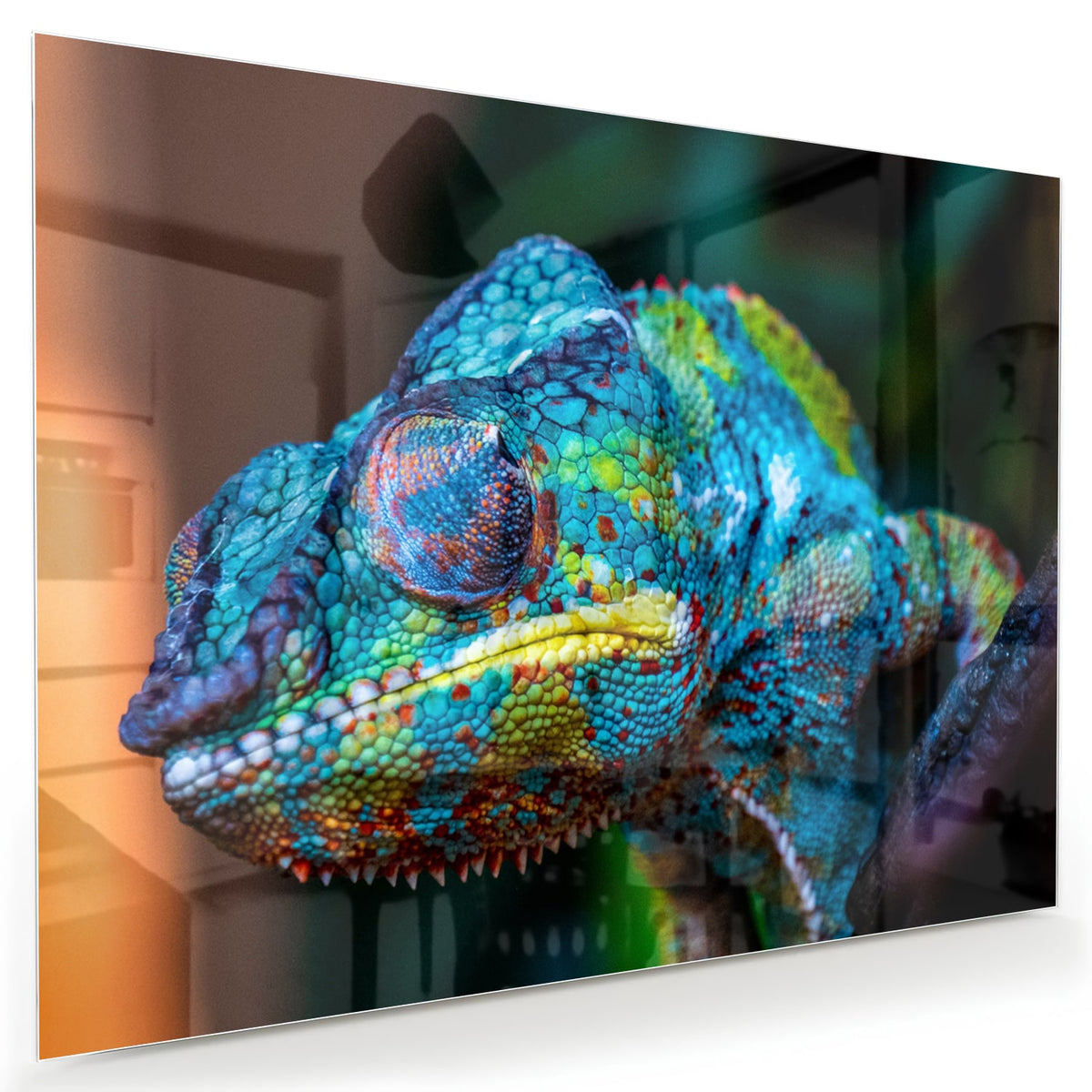 Glazen schilderij van een kleurrijk chameleon hangt aan de muur