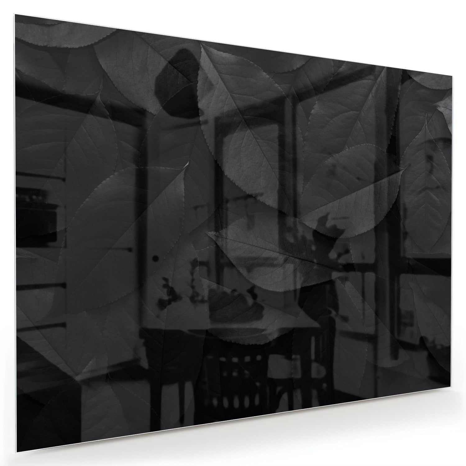 Glazen schilderij met bladeren in zwart en grijs, stijlvol in een moderne woonkamer.