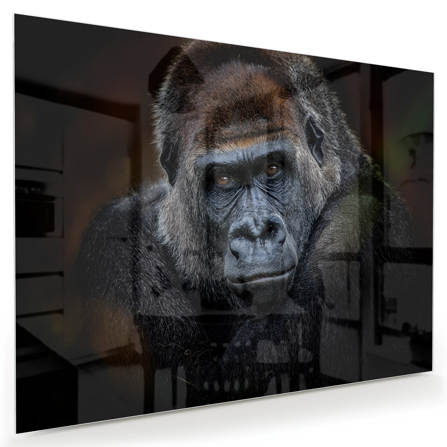Glazen schilderij van een gorilla in een moderne woonkamer.