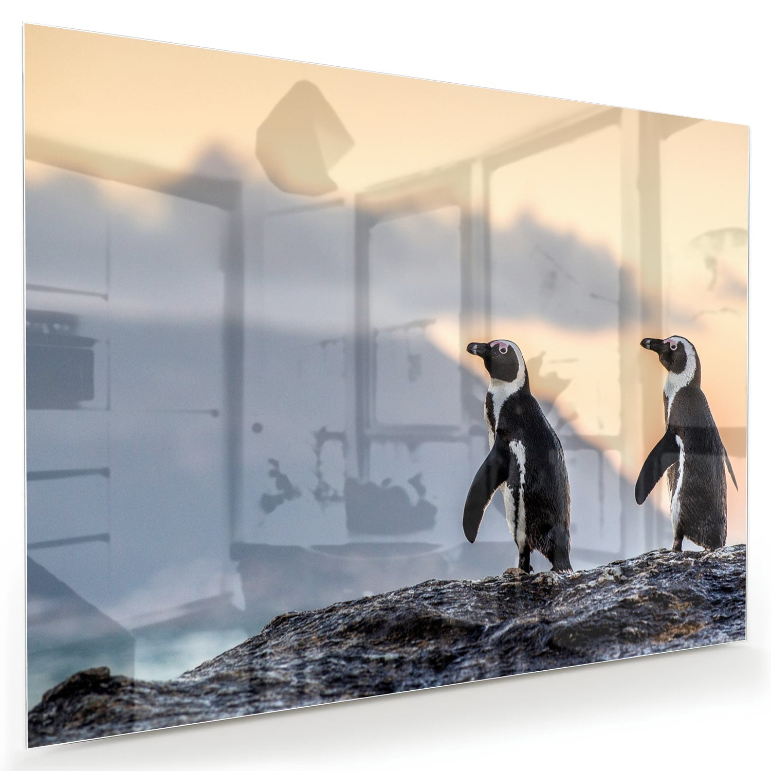 Glazen schilderij van pinguns aan zee met een zonsondergang op de achtergrond