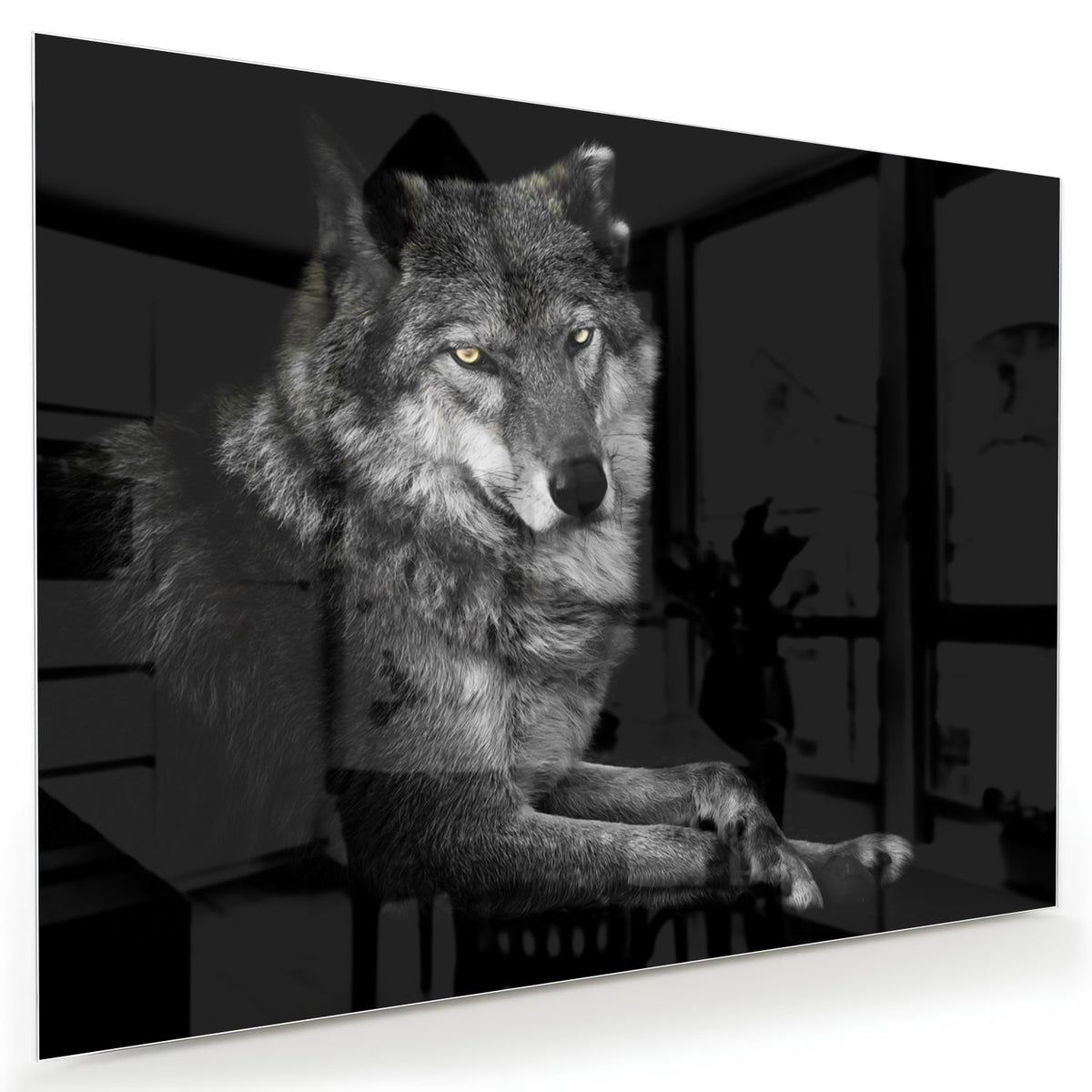 Glas schilderij van een wolf in zwart-wit, perfect voor wanddecoratie.