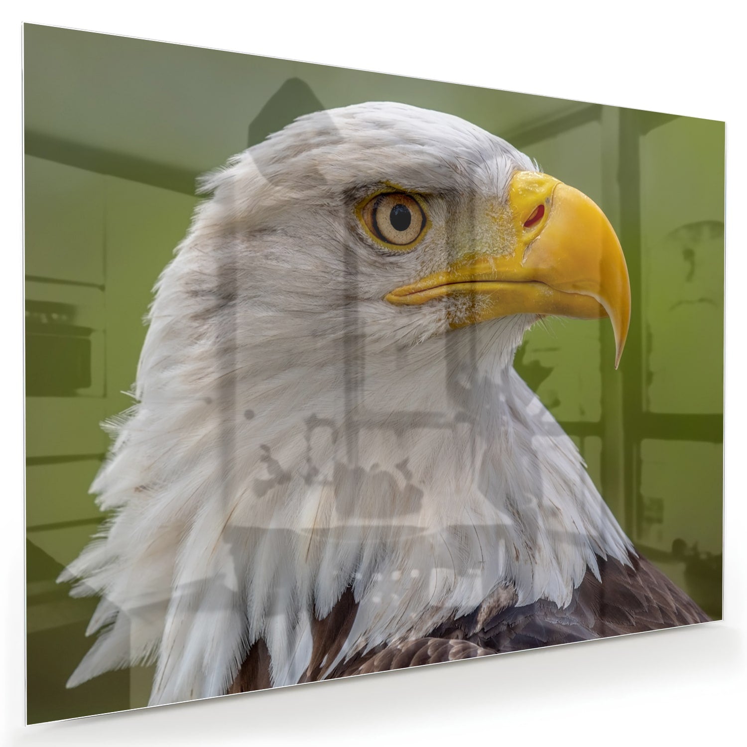 Een prachtig glazen schilderij van een Amerikaanse zeearend met een groene achtergrond.