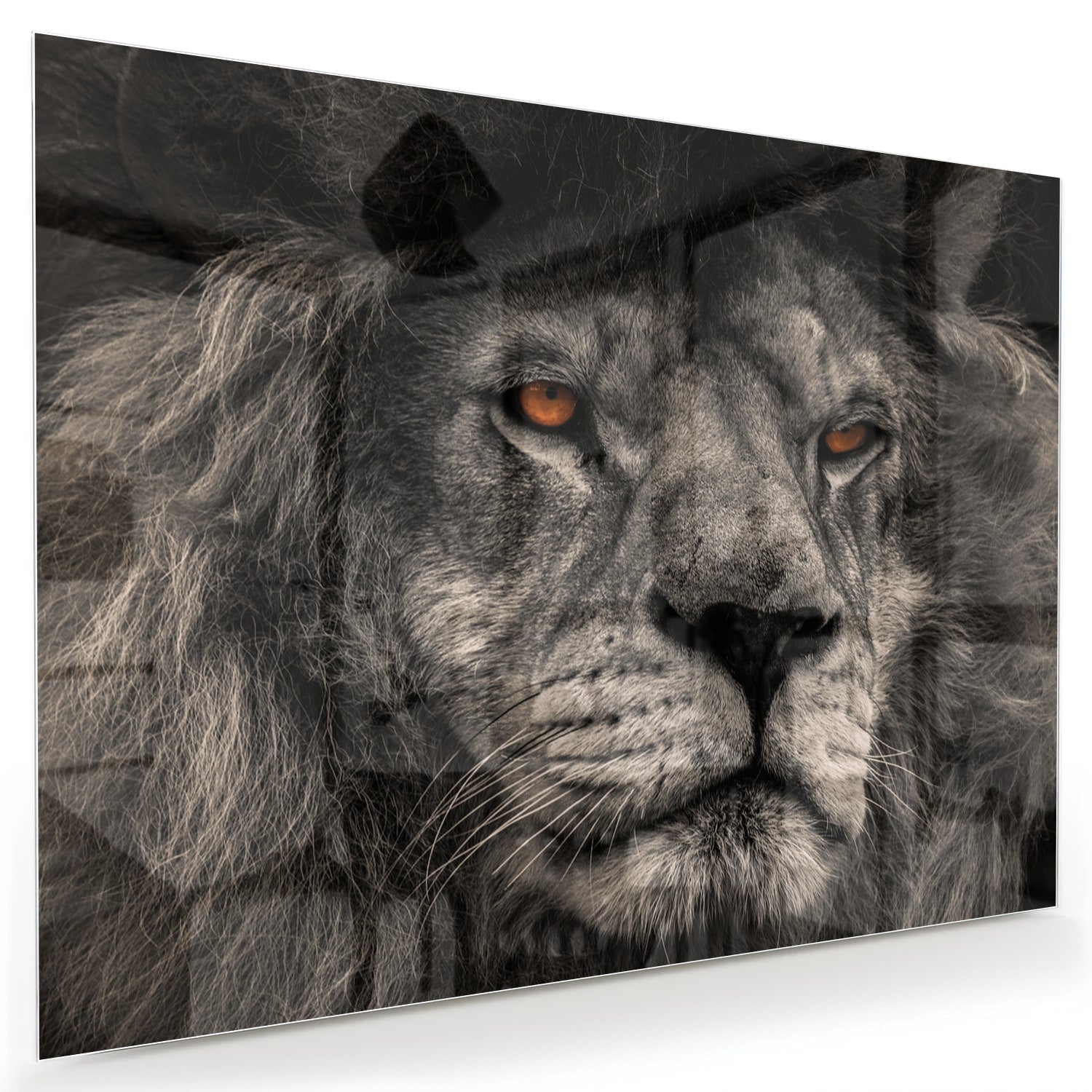 Glazen schilderij van een majestueuze leeuw in zwart-wit, perfect als wanddecoratie.