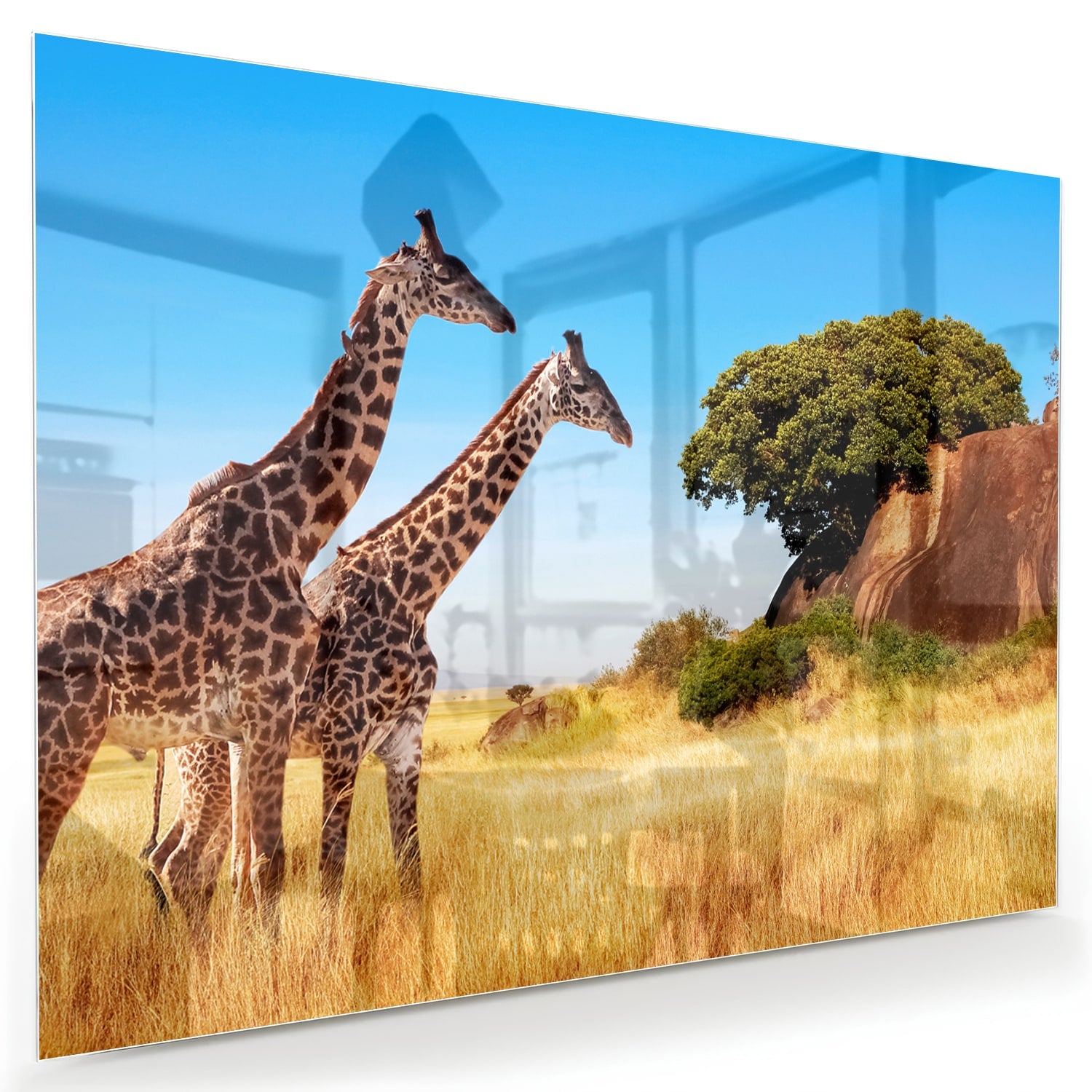 Glazen schilderij van twee giraffen in een Afrikaans landschap