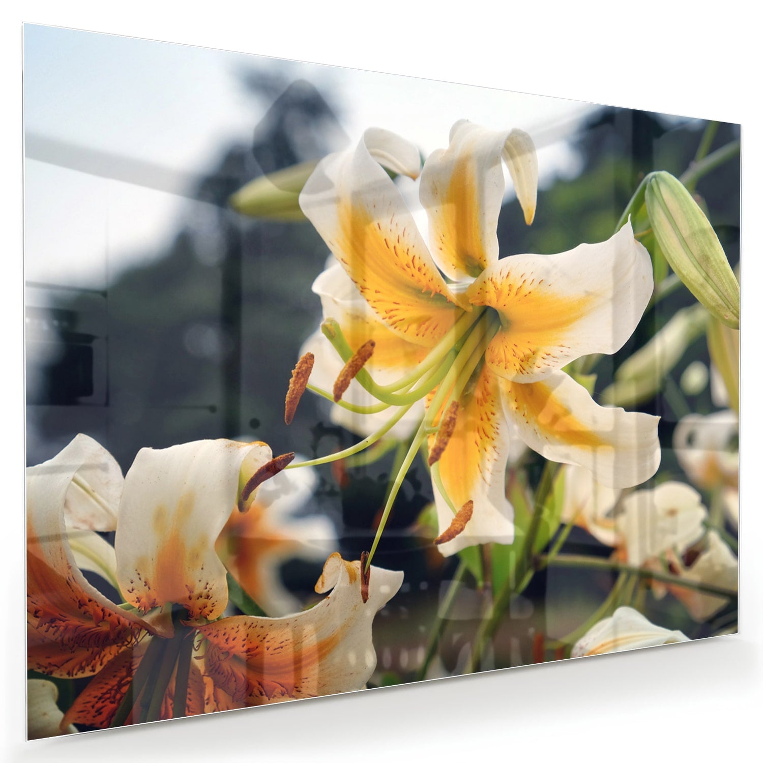 Glazen schilderij met lelies in een elegant interieur