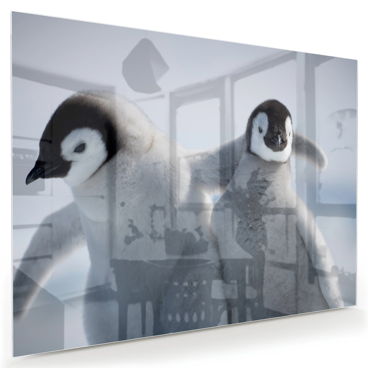 Glazen schilderij van twee pinguns in een winterlandschap.