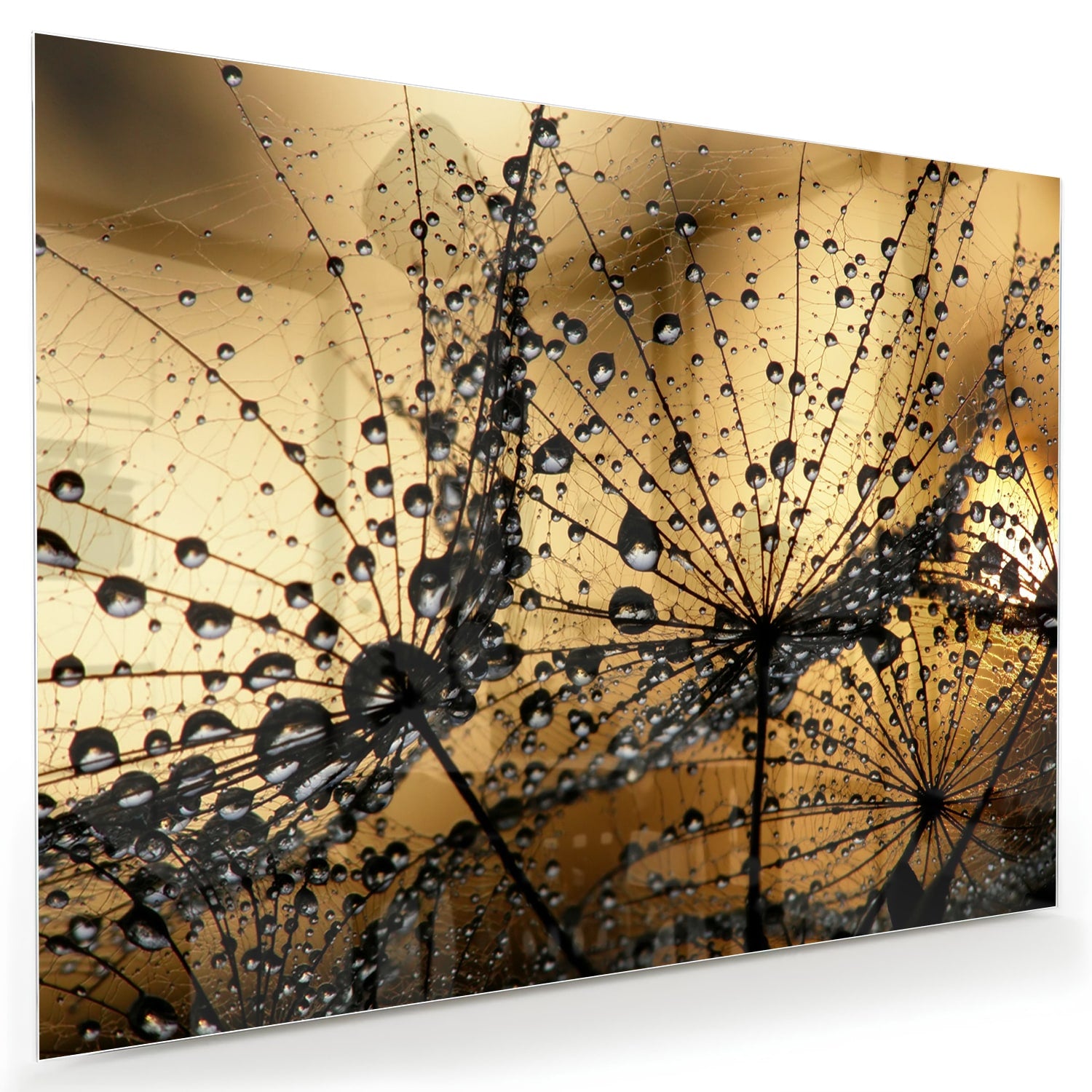 Glazen schilderij met gouden waterdruppels op een lichte muur.