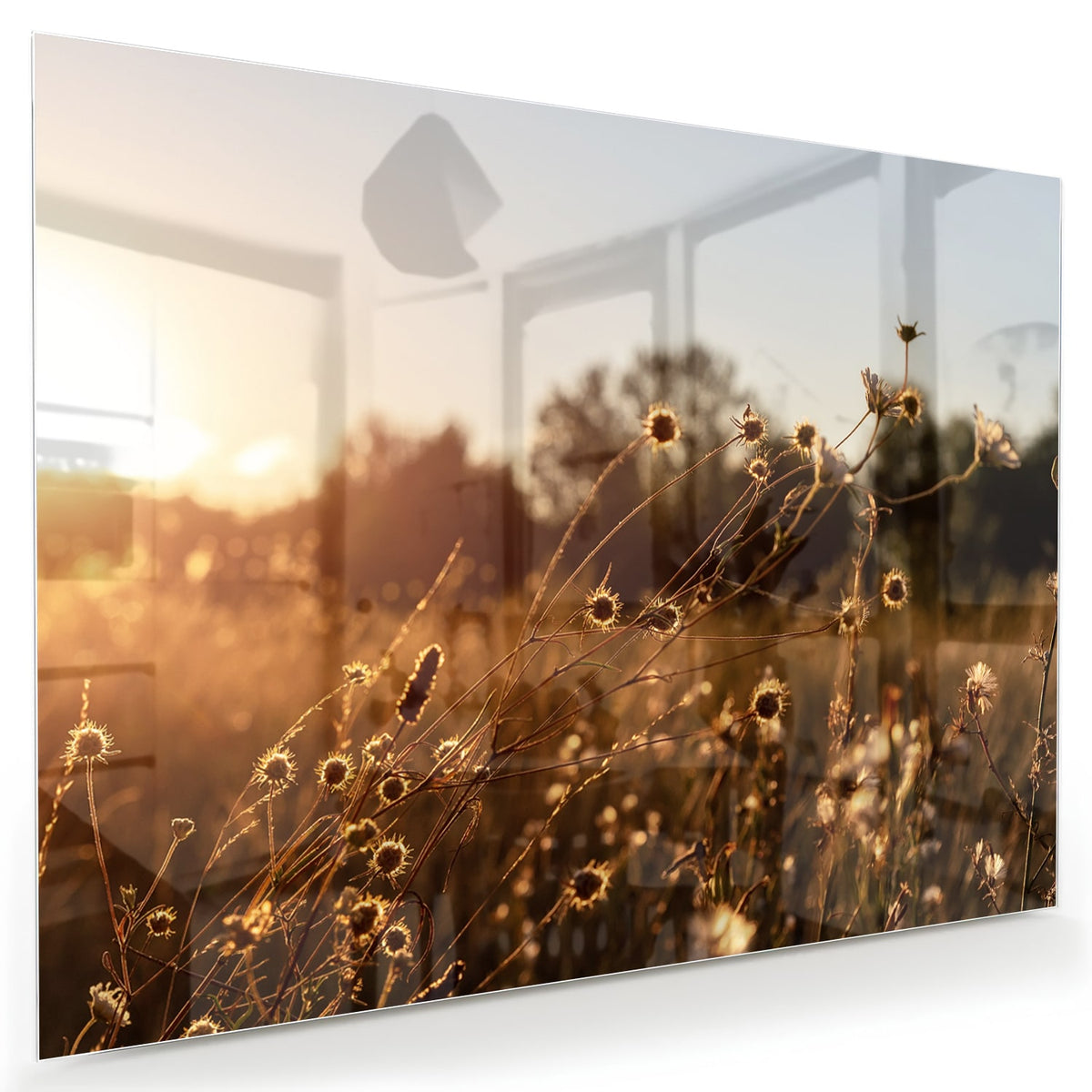 Glazen schilderij van een zonsondergang met bloeiende bloemen, hangend aan een witte muur.