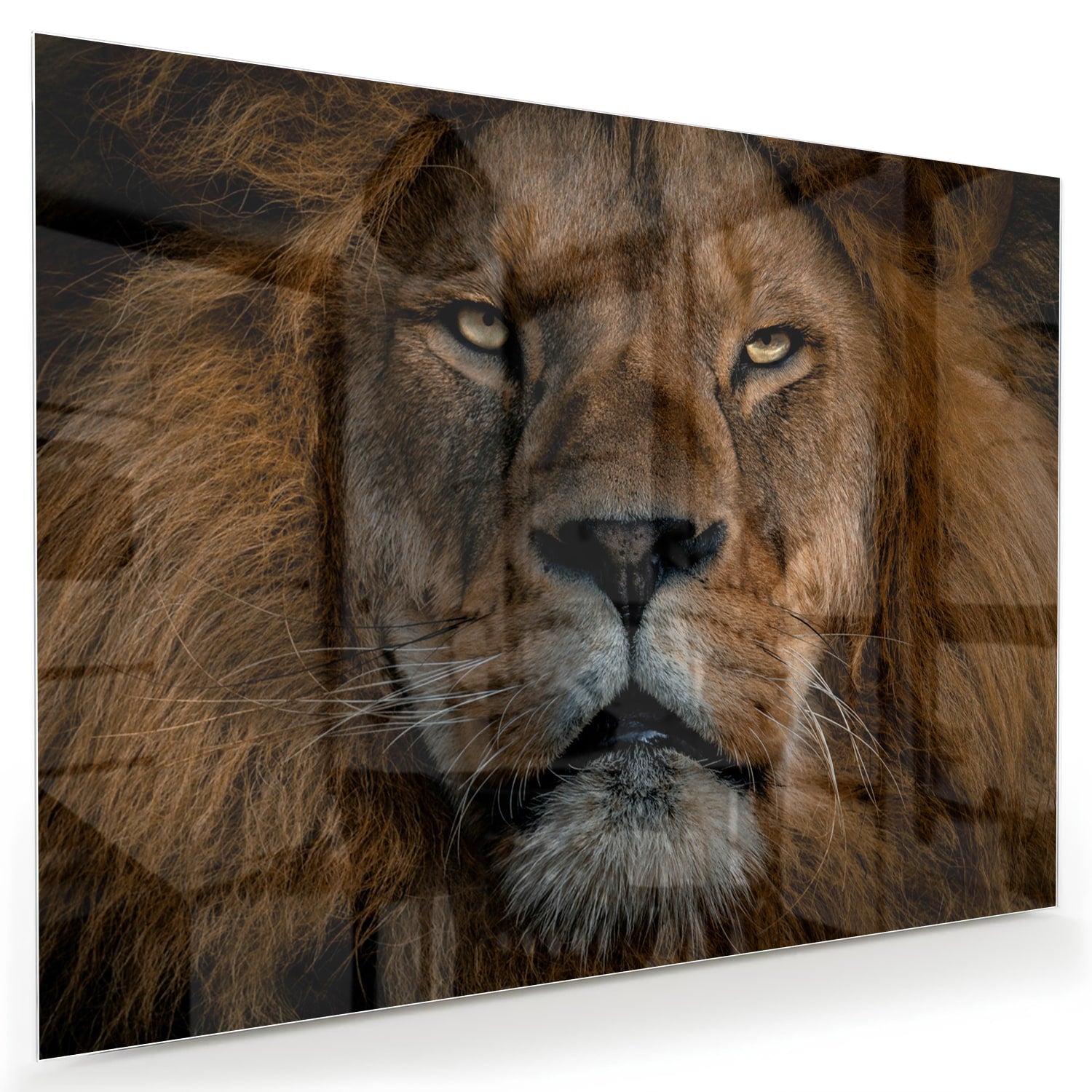 Glazen schilderij van een leeuw, een krachtige uitstraling voor de wand.