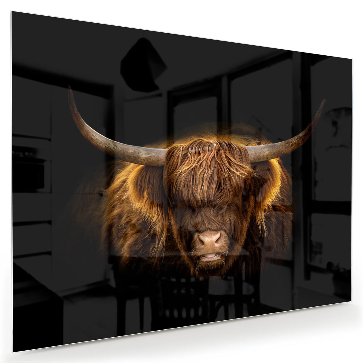 Glazen schilderij van een Highlander rund met lange hoorns en vacht op een zwarte achtergrond.