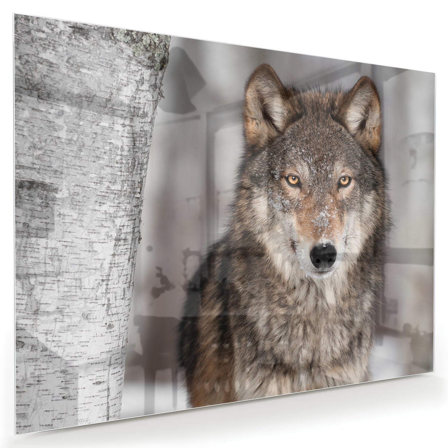 Glazen schilderij van een wolf met indrukwekkende blik in een interieur