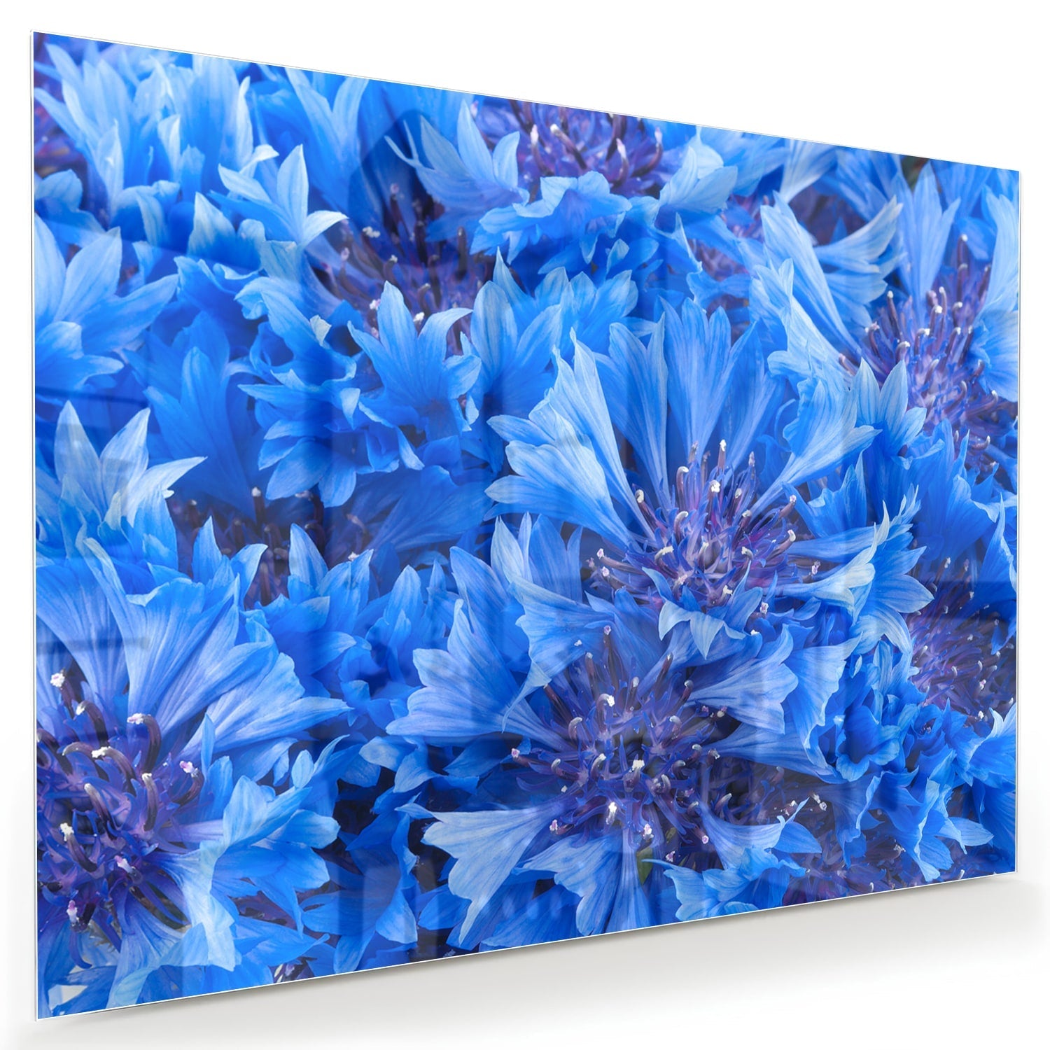 Glazen schilderij met een prachtig blauw bloemenmotief aan de muur