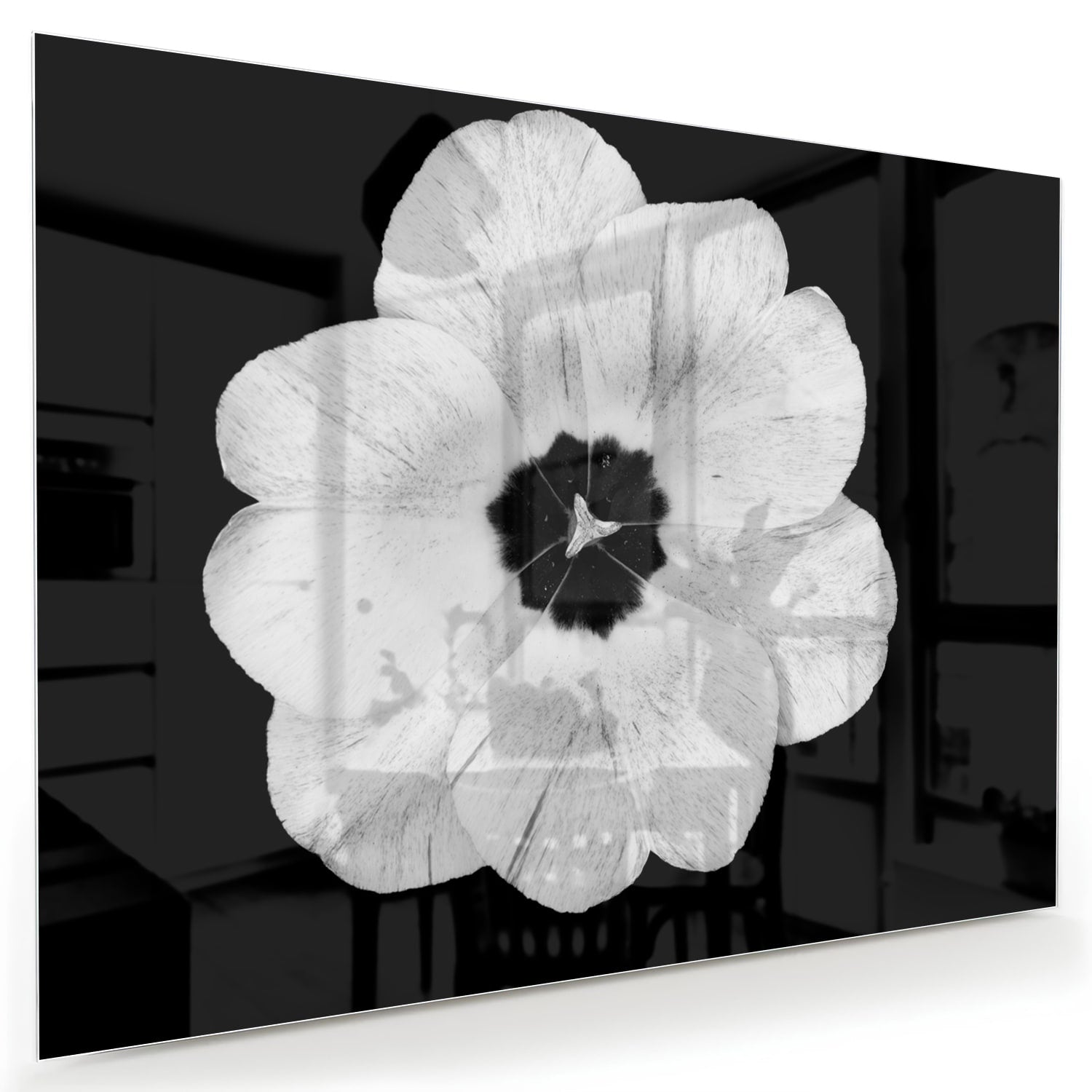 Een glazen schilderij met een witte bloem op een zwarte achtergrond, hangend aan de muur.