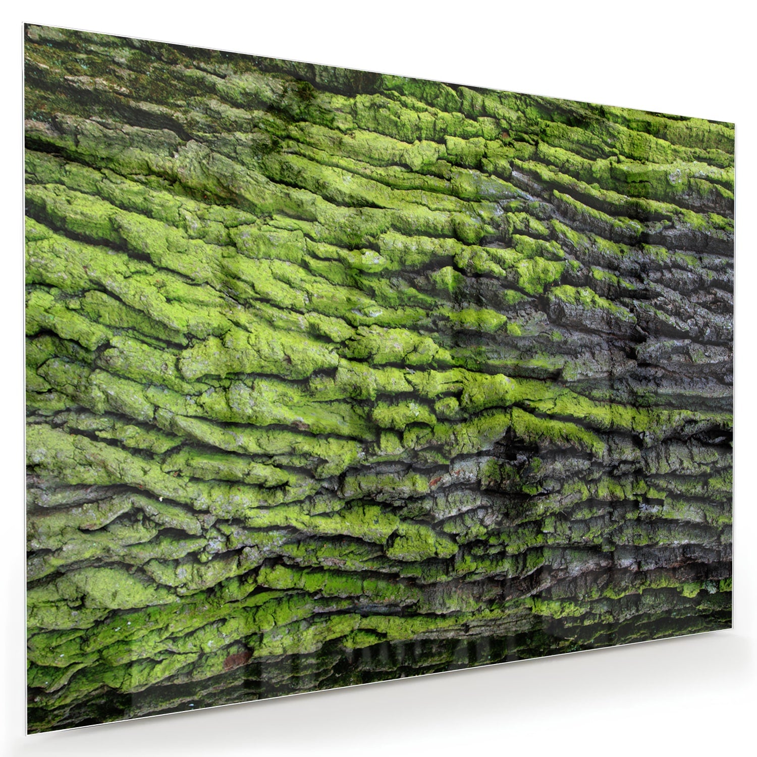 Glazen schilderij met groene mosachtige textuur aan een muur