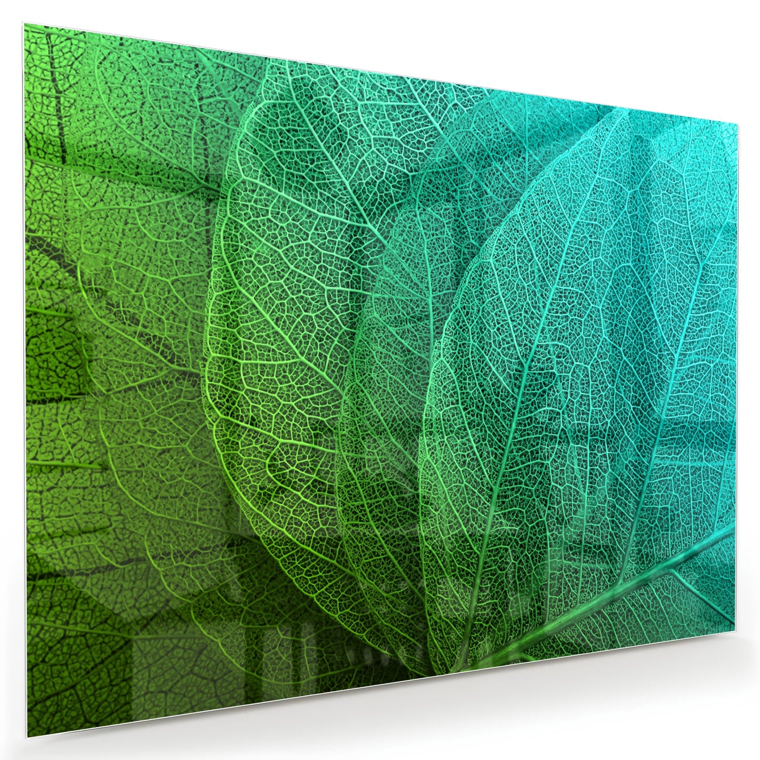 Glas schilderij met de structuur van groene bladeren aan een muur.
