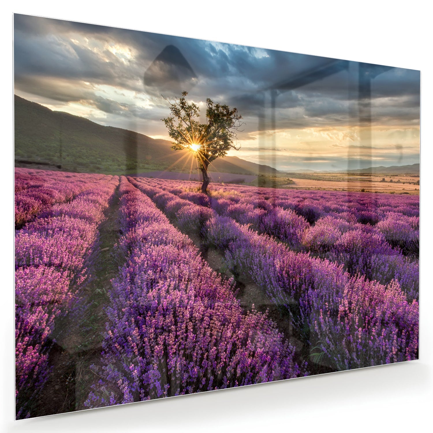 Glazen schilderij van paarse lavendelvelden tijdens de zonsondergang