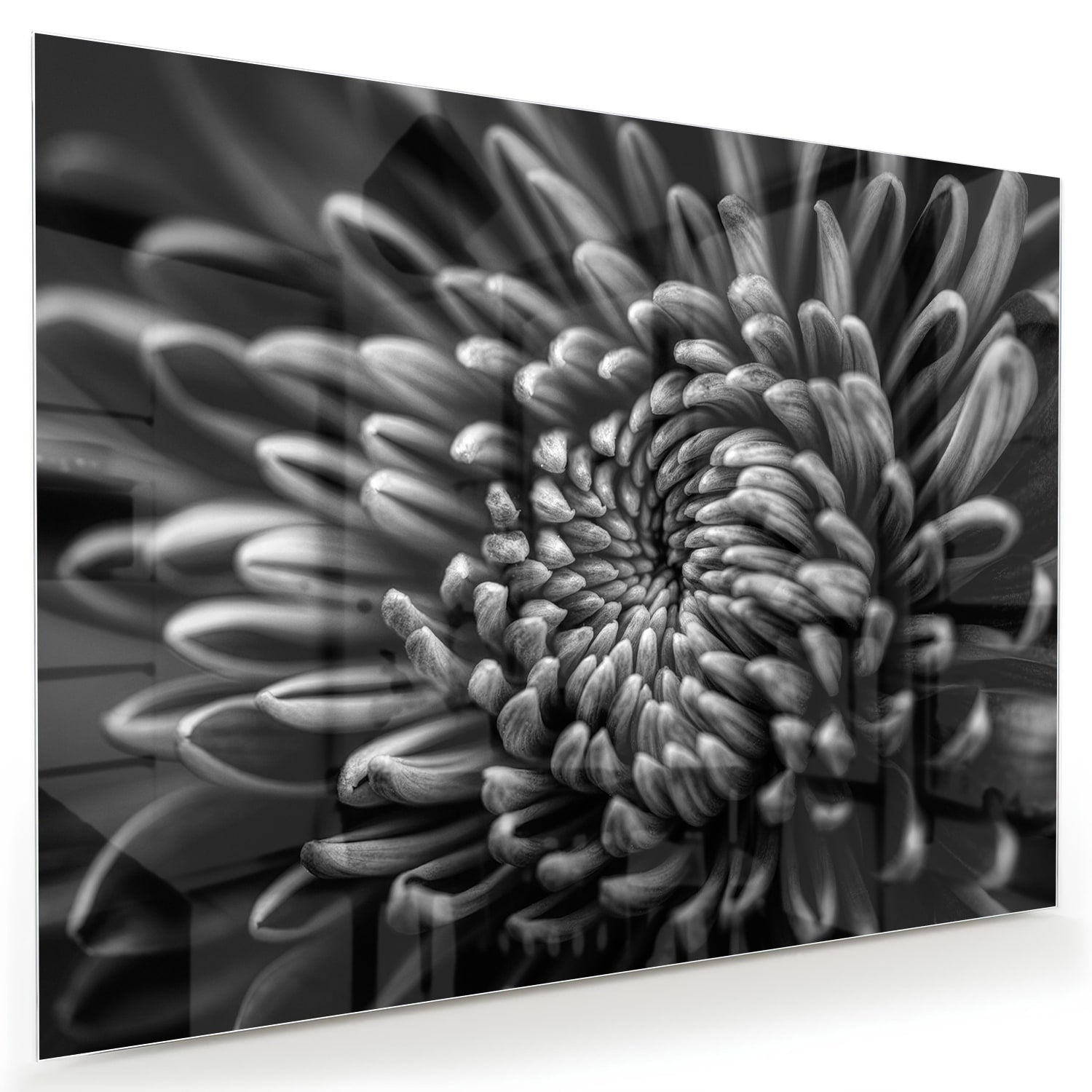 Zwart-wit glas schilderij van een kronkelige bloem aan de muur.