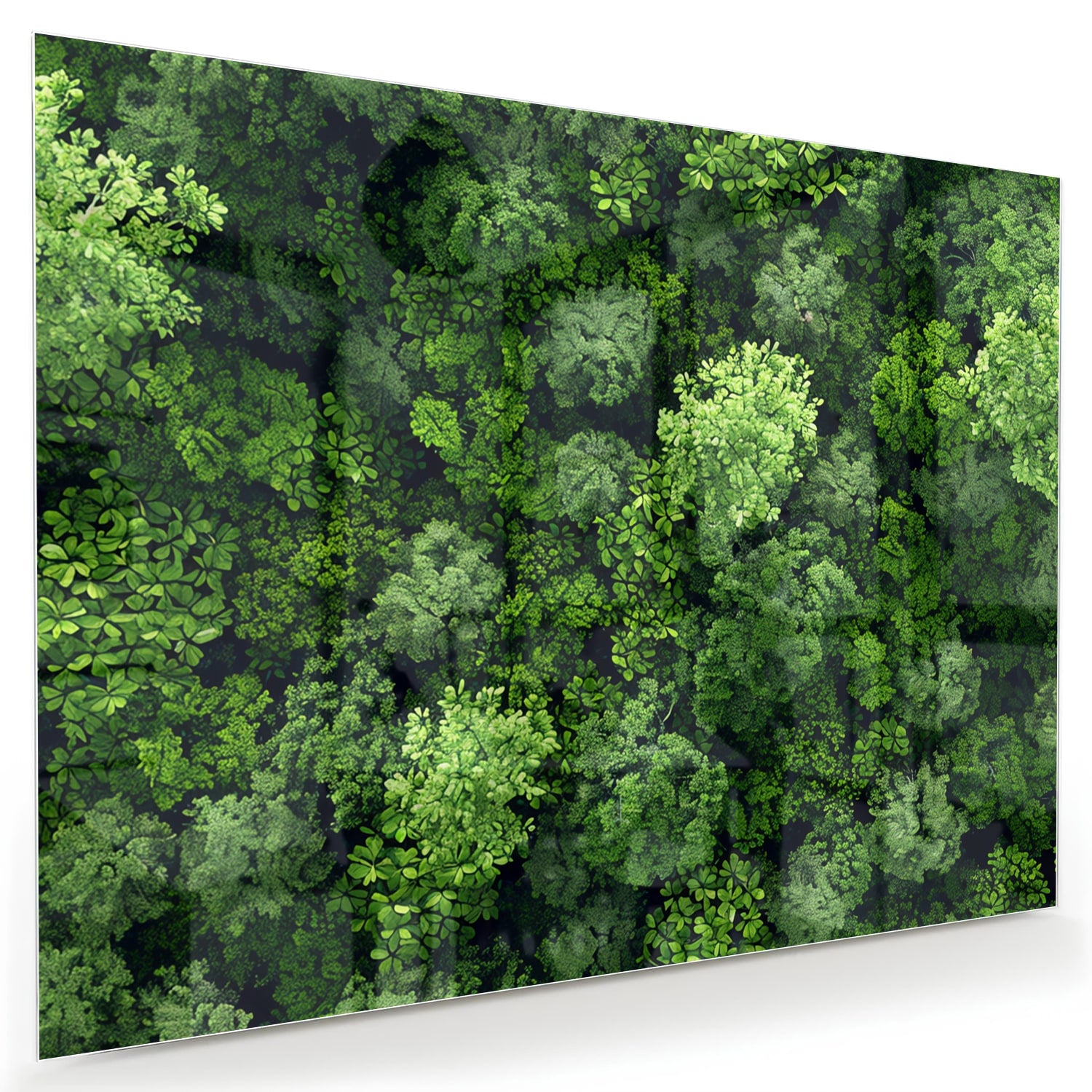 Luchtfoto van een weelderig groen bos op een muur in een moderne kamer.
