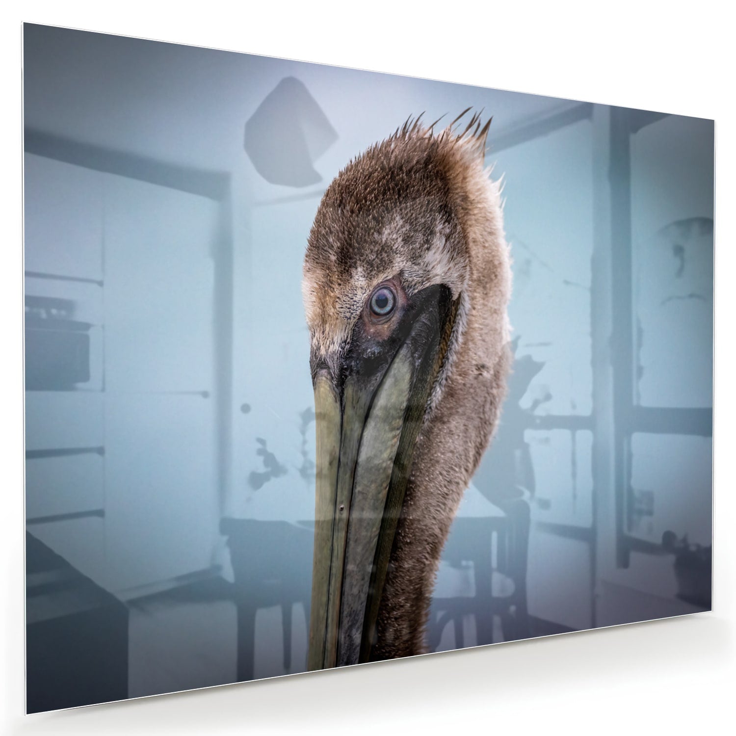 Glazen schilderij van een pelikan met een elegant design in een moderne woonkamer.