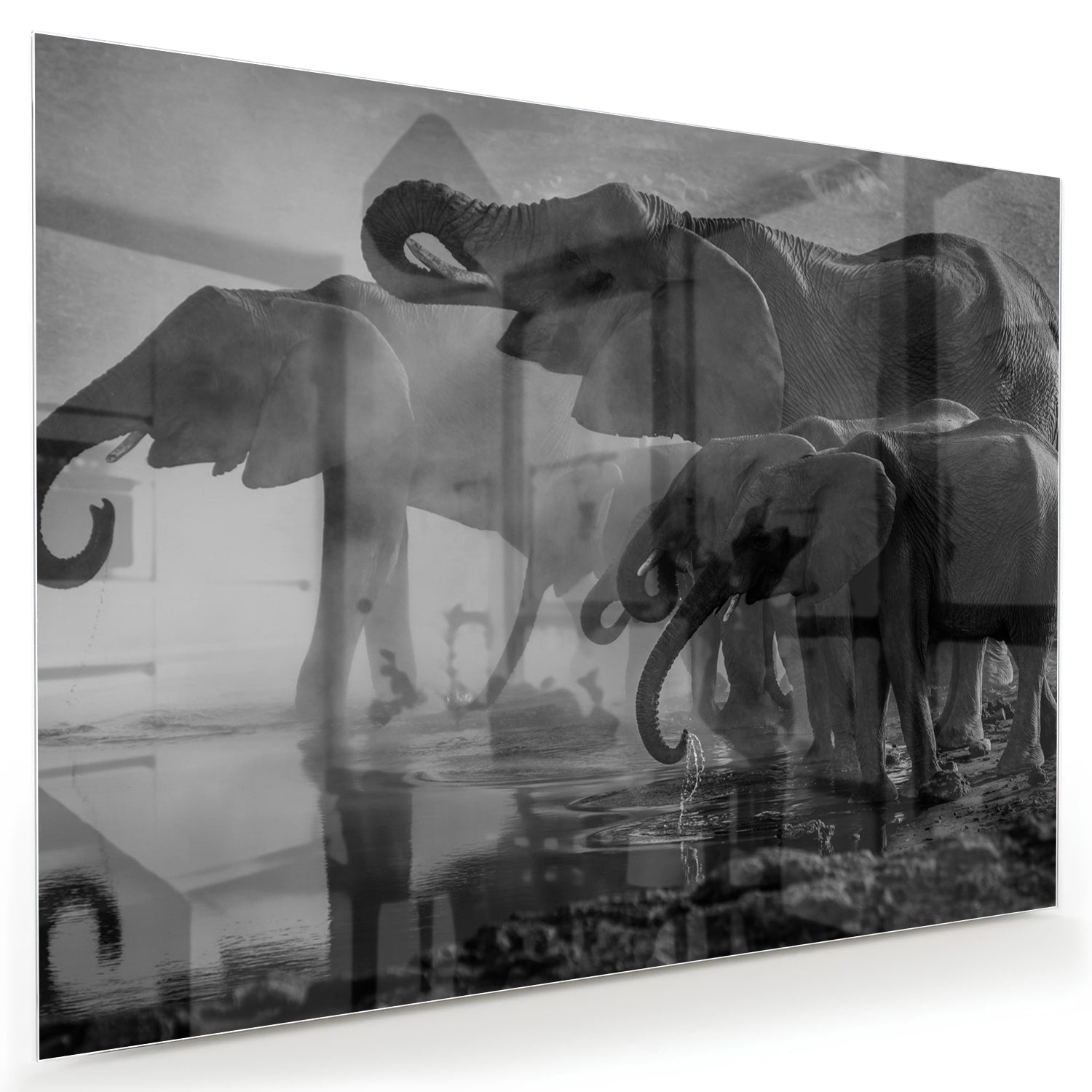 Glazen schilderij van olifanten in een moderne woonkamer