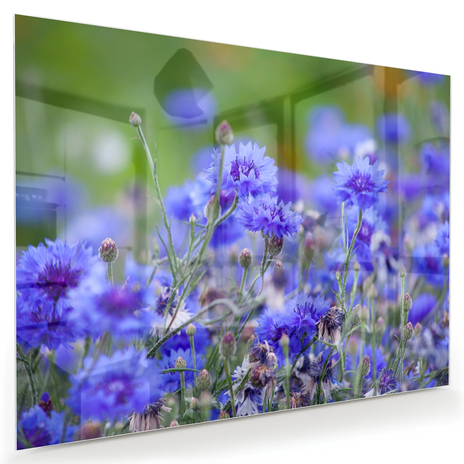 Glazen schilderij met paarse bloemen aan de muur in een lichte woonkamer.