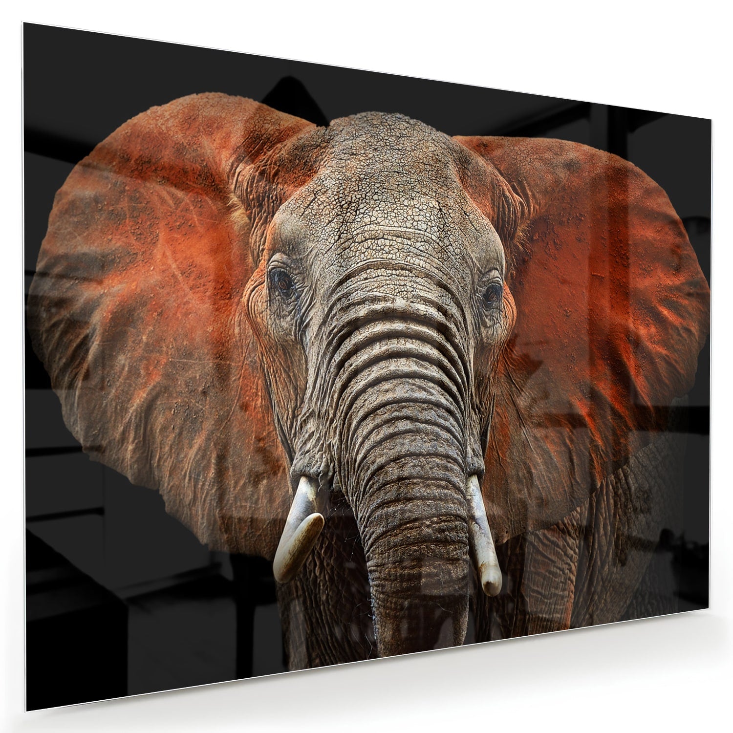 Glazen schilderij van een olifant met kleurrijke oren, prachtig voor aan de muur.